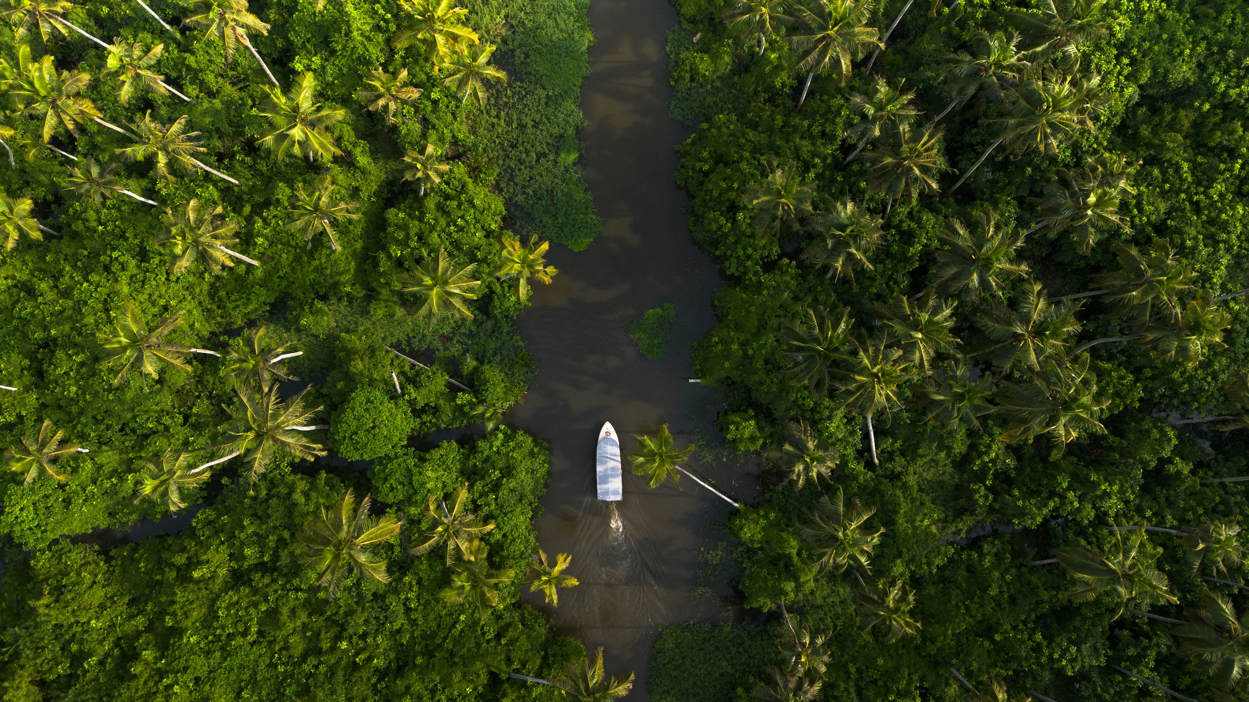 Eau, lumière, végétation au Kerala